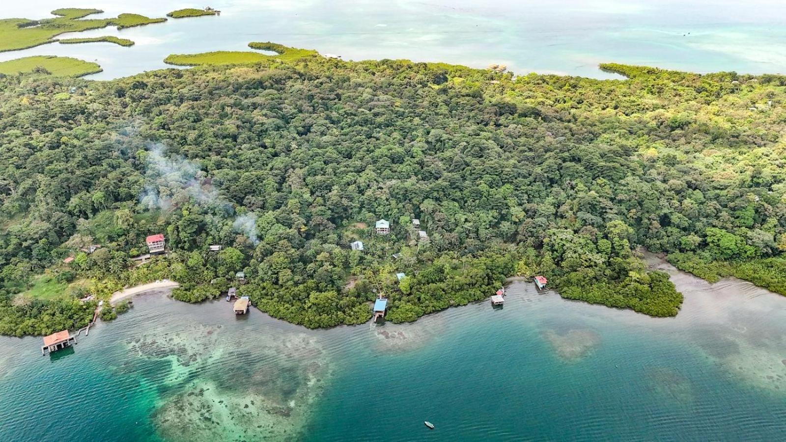 Roam Yoga & Wellness Lodge Bocas Town Exterior foto