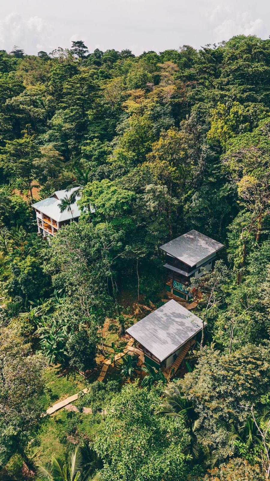 Roam Yoga & Wellness Lodge Bocas Town Exterior foto